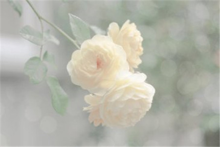 陜西自考如何復(fù)習(xí)