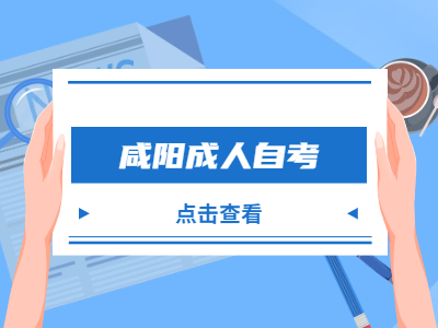 咸陽(yáng)成人自考可以考教資嗎?