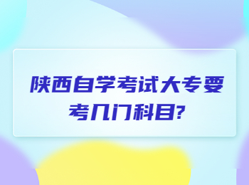 陜西自學(xué)考試大專