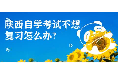 陜西自學考試不想復習怎么辦?